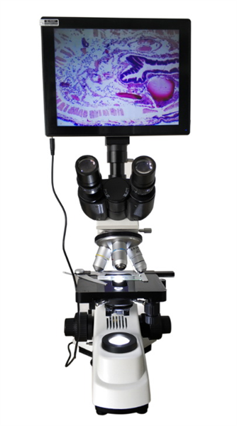 生物显微镜的使用方法与步骤