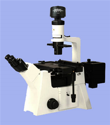 倒置荧光显微镜DFM-80C