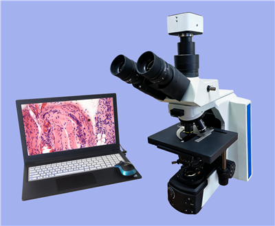 科研生物显微镜RCK-40C